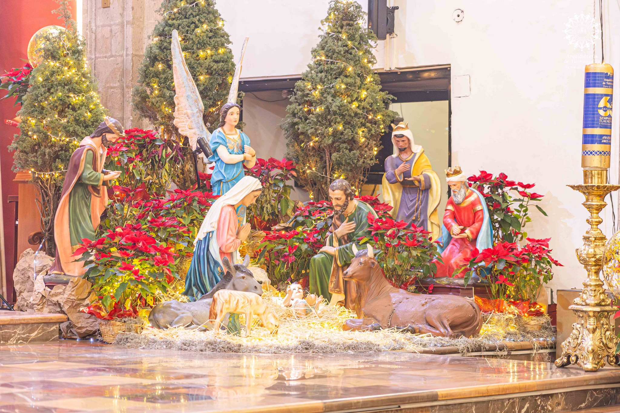 HOMILÍA EN LA EPIFANÍA DEL SEÑOR