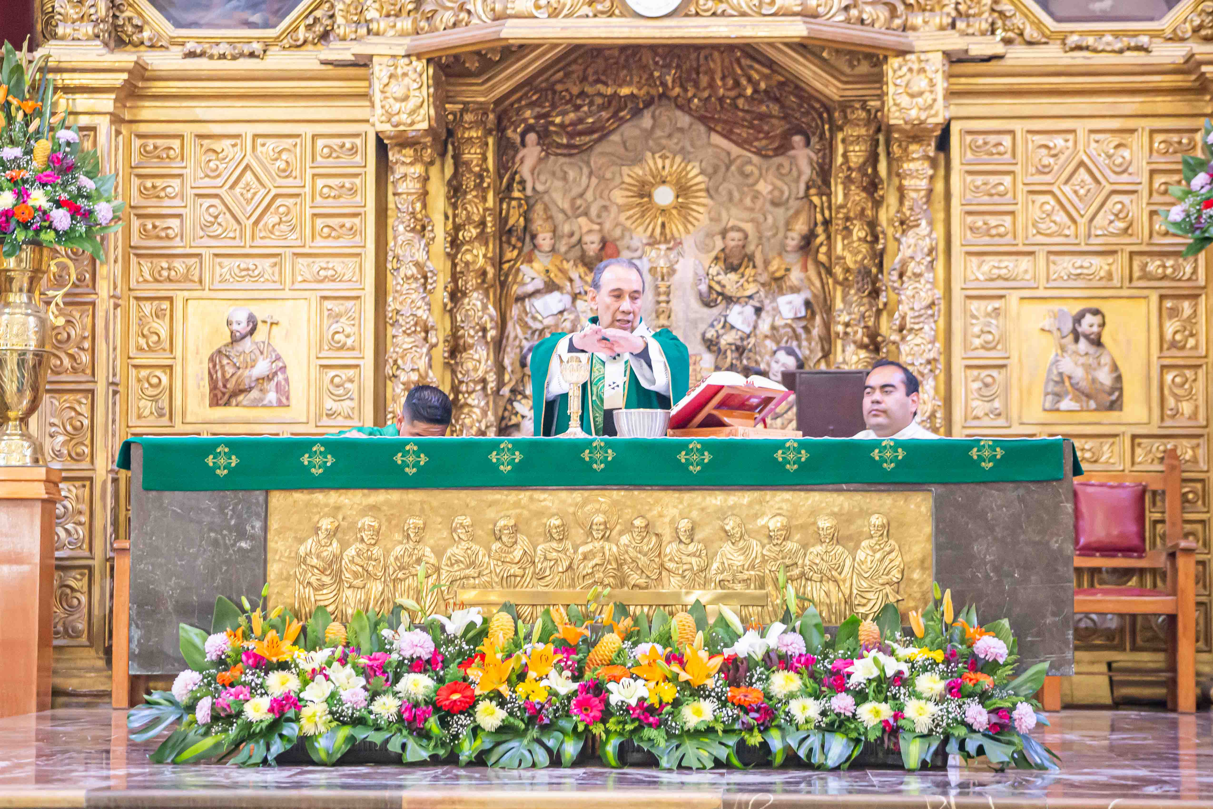 Homilía del 17 de noviembre del 2024