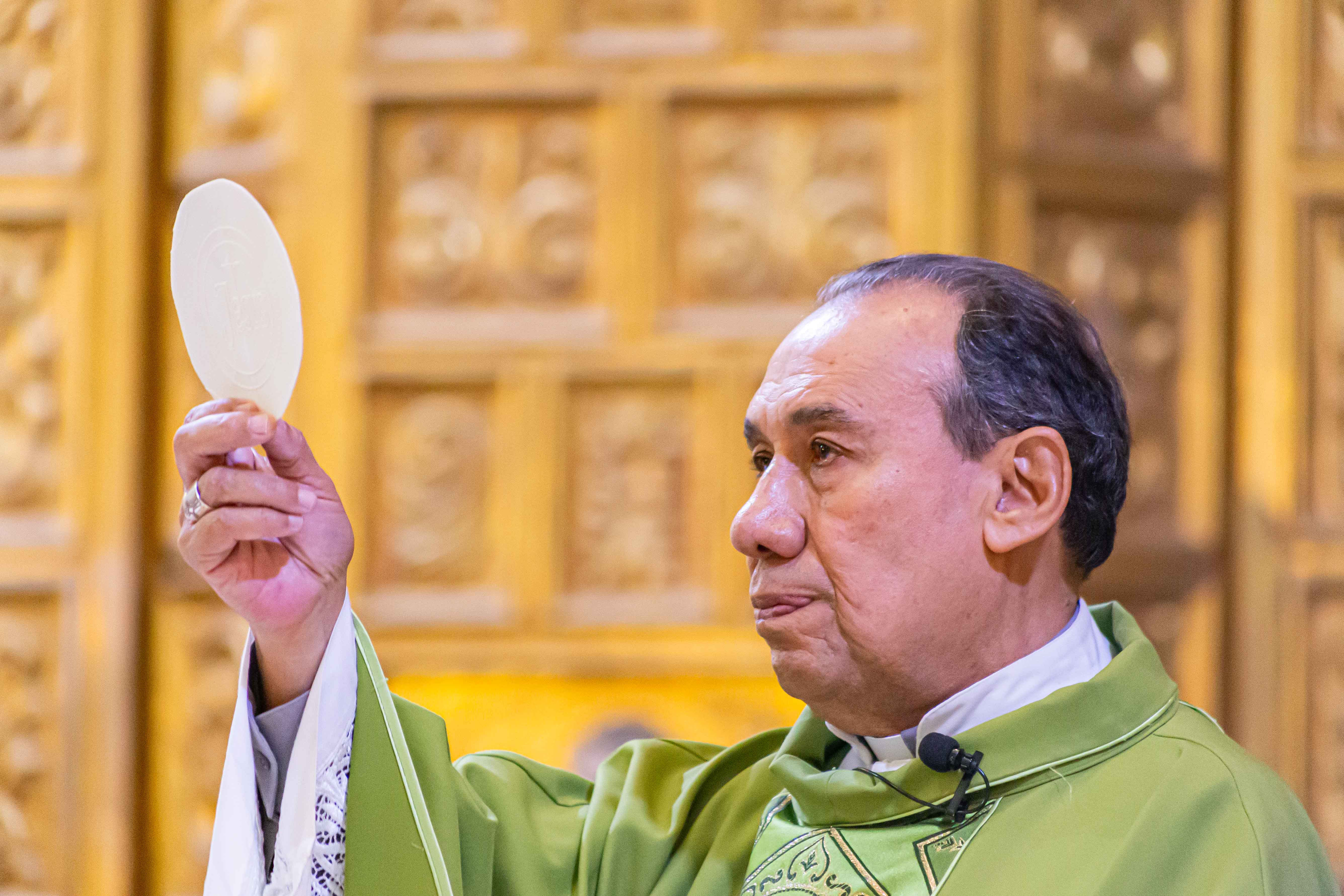 HOMILÍA EN EL XXVII DOMINGO DEL TIEMPO ORDINARIO