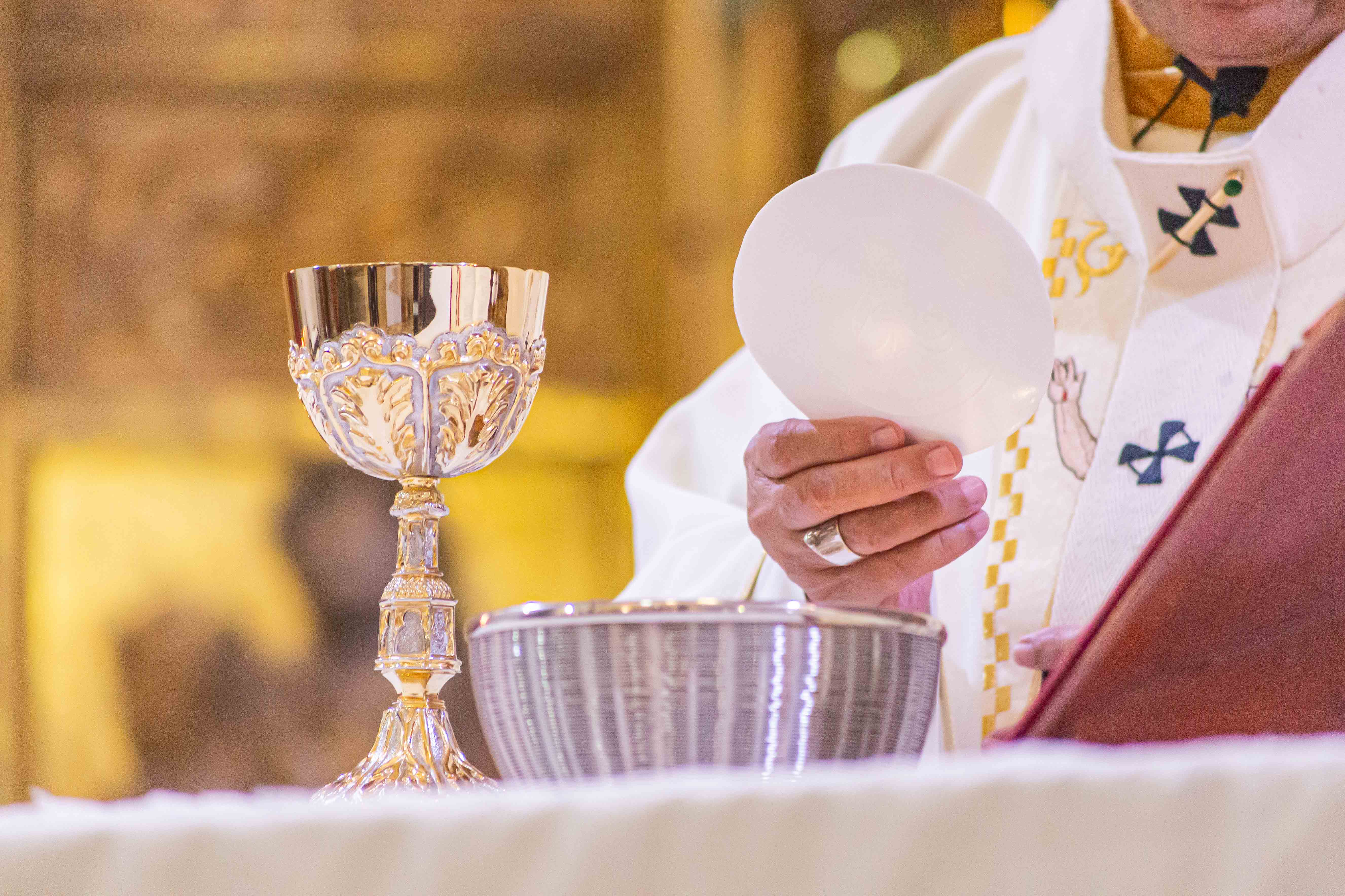 HOMILÍA EN EL DOMINGO DE LA TRANSFIGURACIÓN DEL SEÑOR 2023