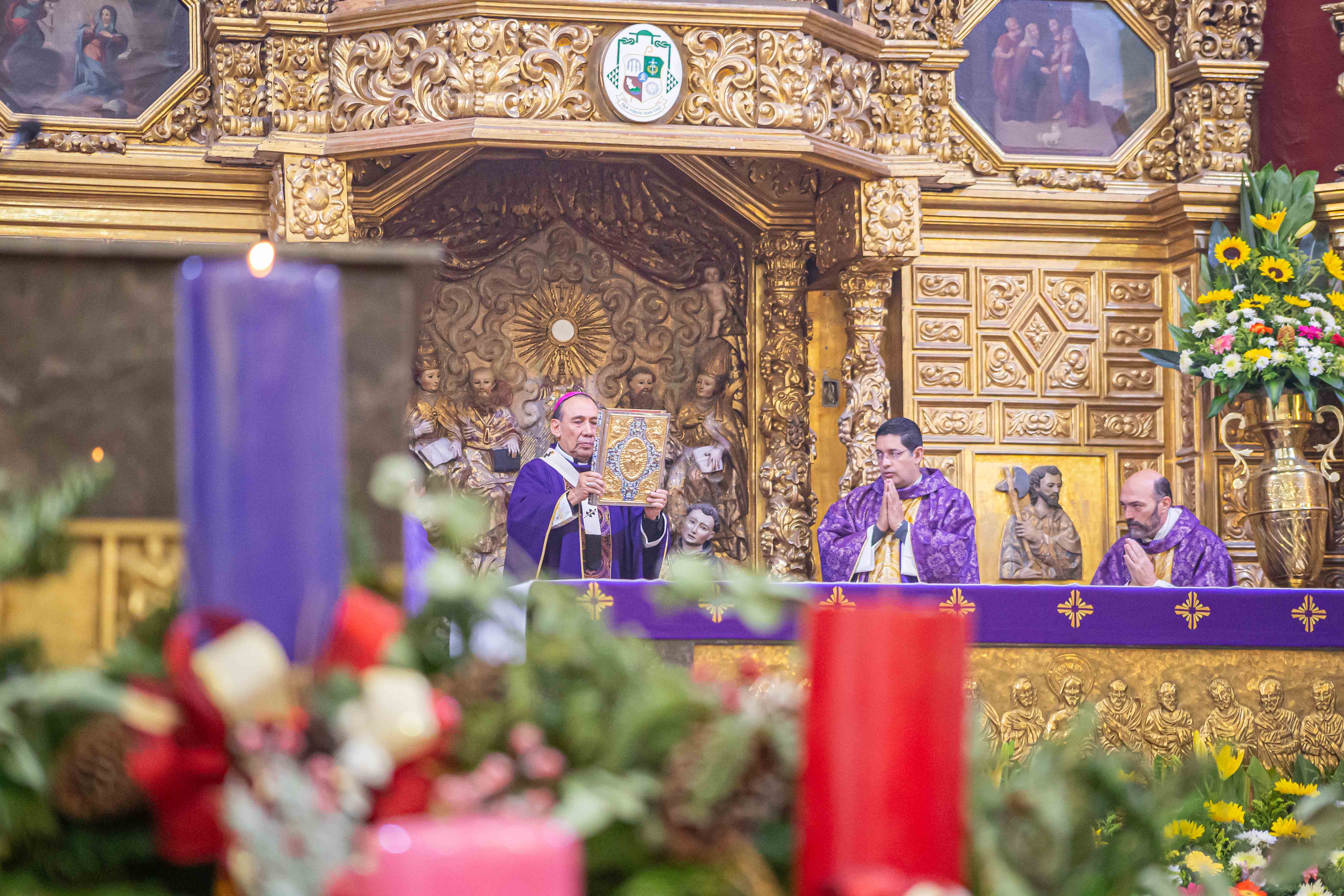 HOMILÍA EN EL I DOMINGO DE ADVIENTO