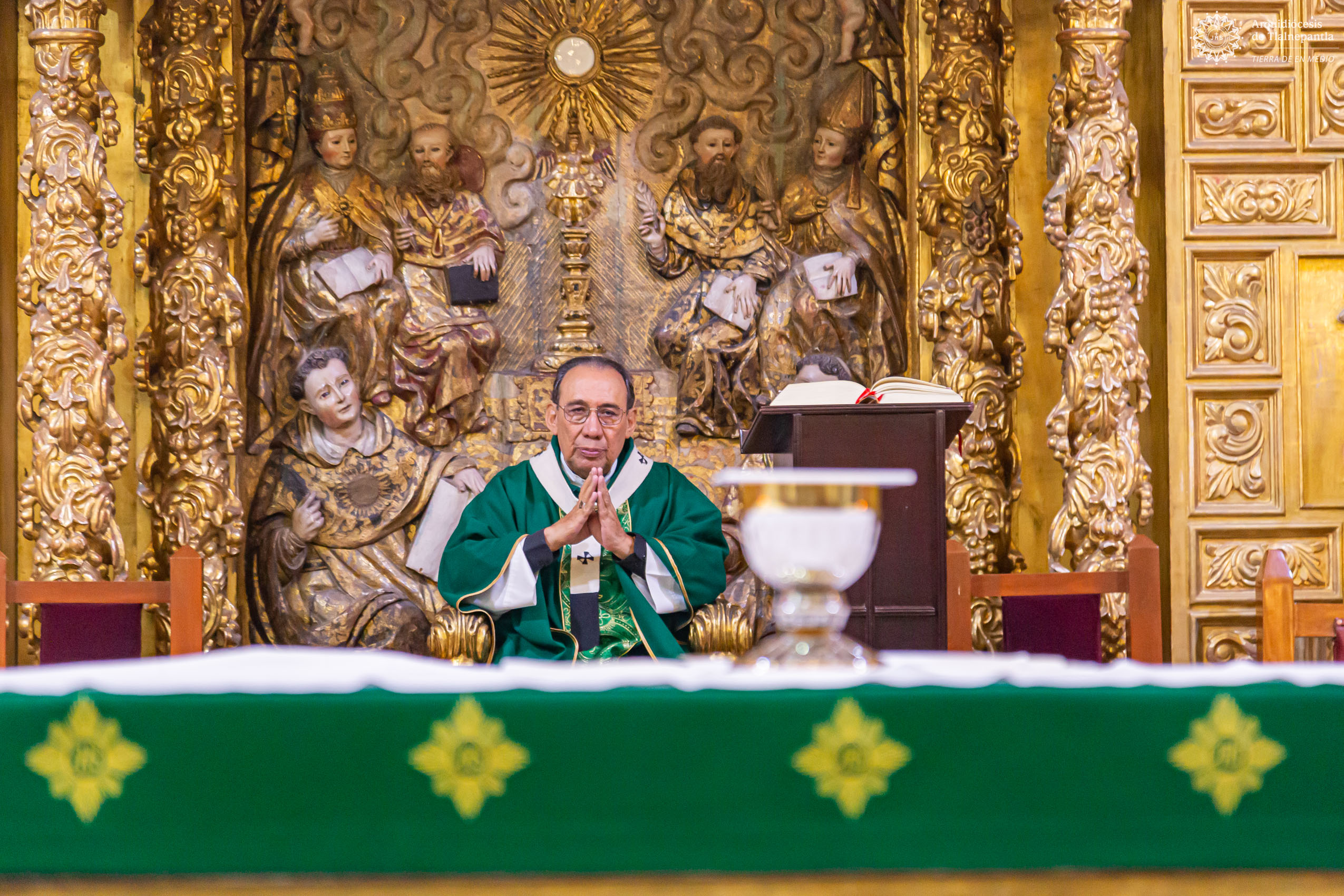 Homilía en el VII domingo de Tiempo Ordinario