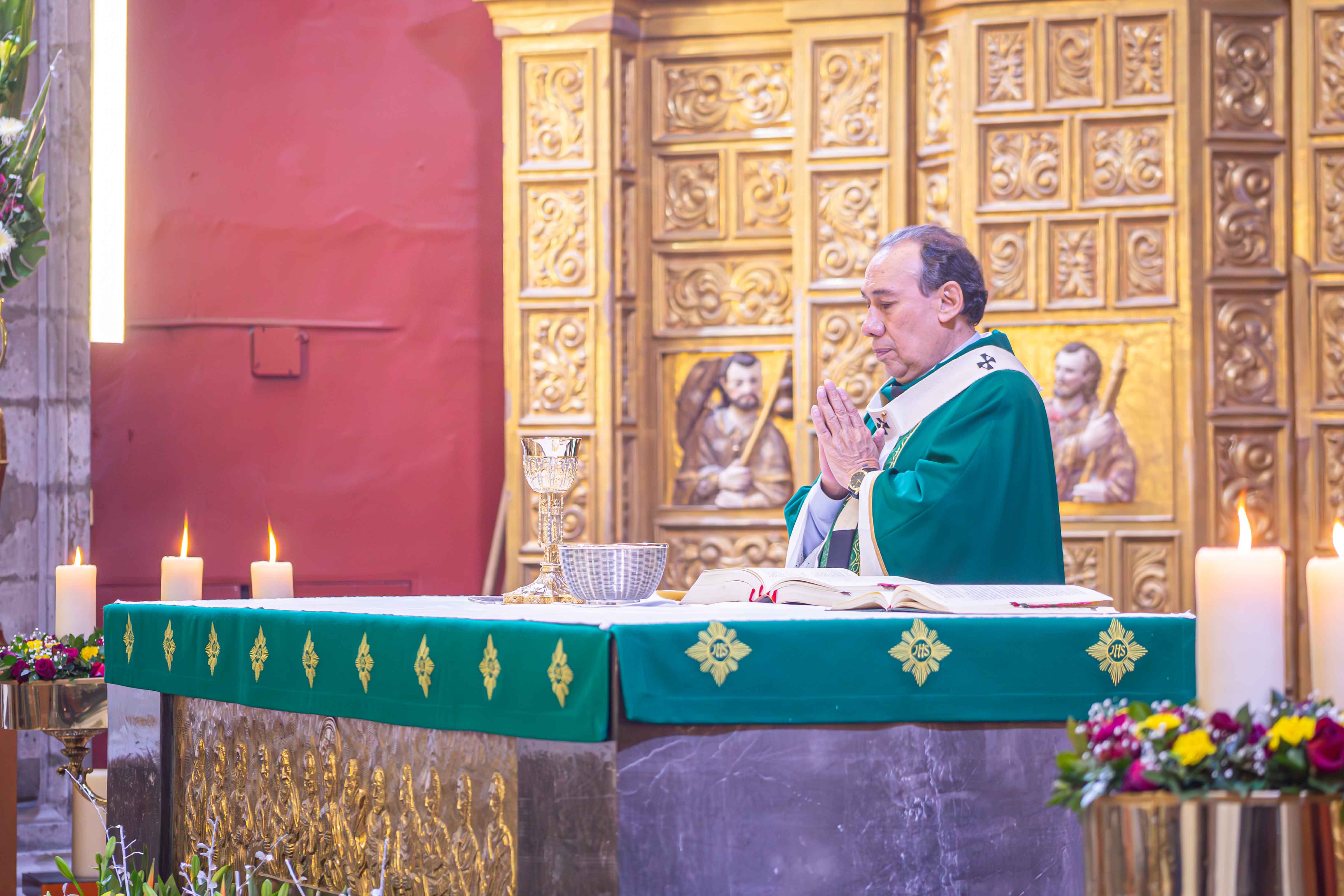 HOMILÍA EN EL XIV DOMINGO DEL TIEMPO ORDINARIO