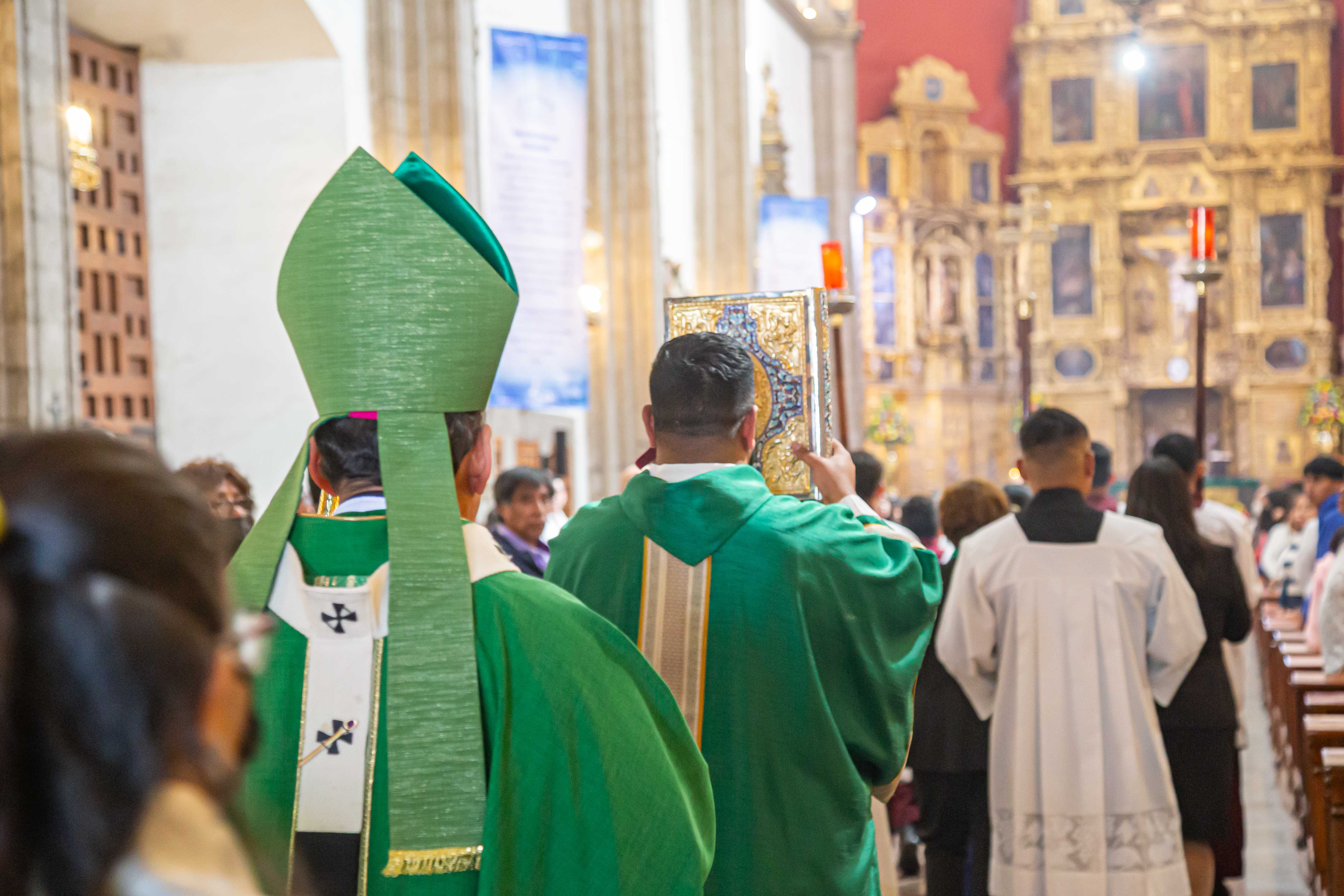HOMILÍA EN EL V DOMINGO DEL TIEMPO ORDINARIO