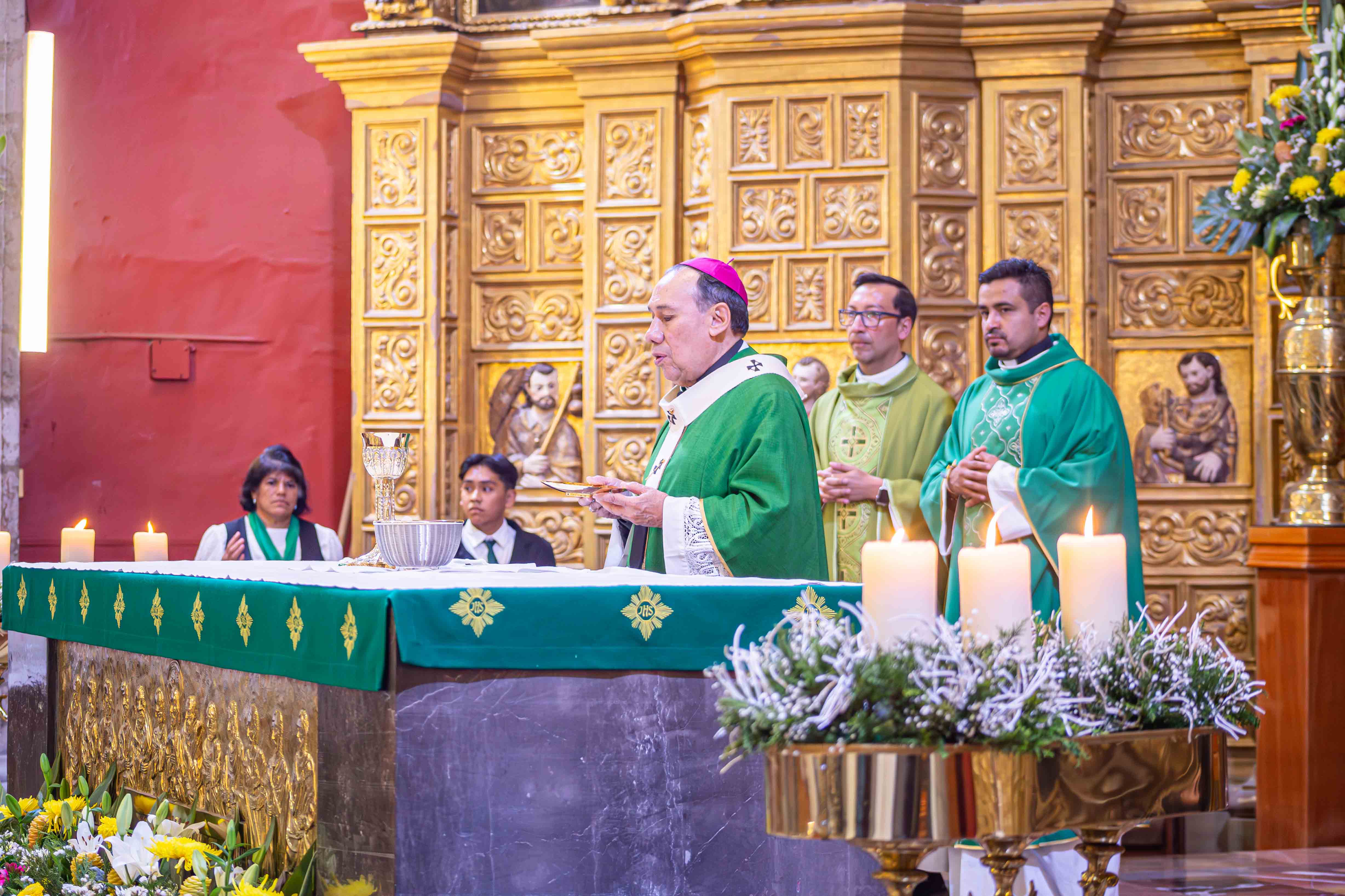 DOMINGO XV DEL TIEMPO ORDINARIO